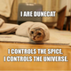 Illustration for article titled Evolution Explains Why Lolcats Control Your Mind